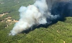 Muğla'da eş zamanlı orman yangını