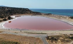 Çanakkale'de 2 bin yıllık iç liman gölü pembe oldu!