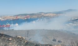 SONDAKİKA! İzmir Aliağa'da orman yangını!