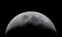 Bilim insanları, tehlike altındaki türleri Ay’a taşıyacak yenilikçi proje duyurdu
