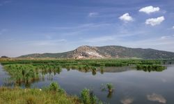 İzmir Belevi Sazlığı hakkında bilgiler, nerede, nasıl gidilir?