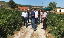 Çan Kaymakamı Nebioğlu, aronya bahçesinde incelemelerde bulundu