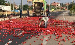 CHP'li Başkan Ayma : Domates üreticisi zarar ediyor