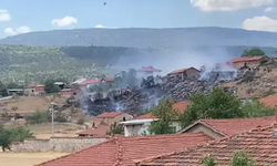 Tavşanlı’da çıkan yangın korkuttu!