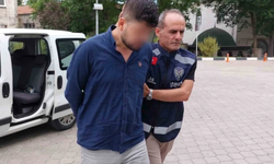 Samsun ve Sakarya'da "sazan sarmalı" dolandırıcılığı: 1 tutuklu