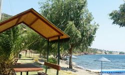 İzmir Flamingo Beach hakkında bilgiler, nerede, nasıl gidilir?