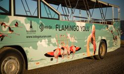 İzmir Flamingo Yolu Otobüs Turu Başlangıç Noktası hakkında bilgiler, nerede, nasıl gidilir?