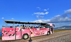 İzmir Flamingo Yolu Tekne Turu hakkında bilgiler, nerede, nasıl gidilir?