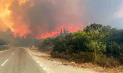 GÜNCELLEME: Çanakkale'de alevler Anzak Koyu'nu tehdit ediyor