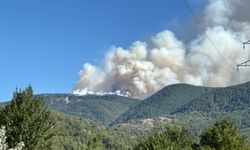 Karabük'te ormanlık alanda çıkan yangına müdahale ediliyor