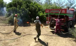 Kaza geçiren orman işletme şefi 7 saat sonra görevine geri döndü