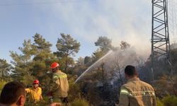 Muğla'daki yangın büyümeden kontrol altına alındı