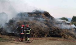 Sakarya'da çocukların kibriti balyaları yaktı, zarar büyük!