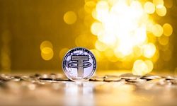 Stablecoin pazarında rekor yükseliş