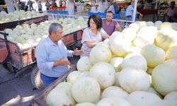 Kınık'ta çiftçilerin emeği ziyan olmadı