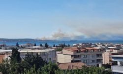 SONDAKİKA! Aliağa'da yangın