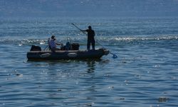 İzmir Körfezi'nde kıyılar ölü balıklarla doldu!