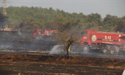 Çanakkale’de tarım arazisinde yangın