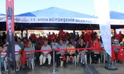 AB müktesebatı yasakları, Aydın’ı küstürdü