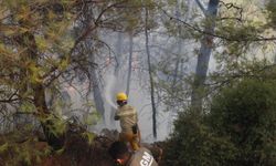 Muğla'da yangına müdahale devam ediyor