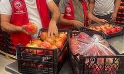 Ortaca’nın nar ve limon ihracatında rekor beklentisi