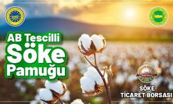 AB 'Söke Pamuğu'nu resmen tescilledi!