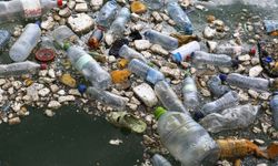 'Plastik yüzyılı' | "Bir kişi haftada bir kredi kartı ağırlığında plastik yiyor"