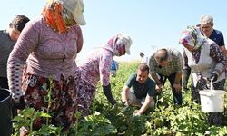 Balıkesir'de "Planlama ve Kalkınma Şirketi" kuruldu