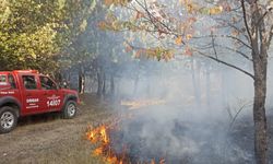 Bolu'nun Mudurnu ilçesinde 2 dönüm orman zarar gördü