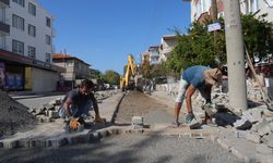 Burhaniye'de yoğun yol bakım çalışmaları devam ediyor