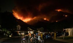 California’da 100 bin dönüm alan küle döndü!