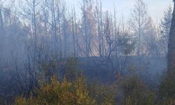 Çanakkale orman yangınında 1 hektarlık alan zarar gördü