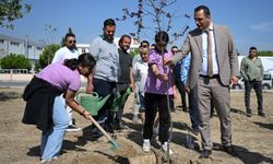 İzmir’in yeşil kimliği Bornova’da hayat buldu