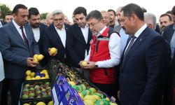 İbrahim Yumaklı, Hatay Dörtyol'da narenciye hasadının sezonunu açtı