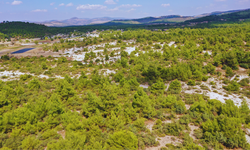 Manisa'daki "Osmancalı Fosil Ormanı" artık tabiat anıtı