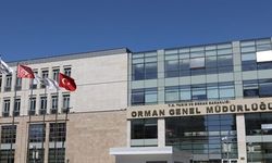 Orman Genel Müdürlüğü’nden İzmir'deki orman yangınına açıklama