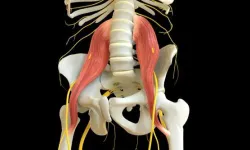 Ruhun kası: Psoas ve postüral gücün kaynağı