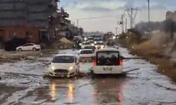 Şanlıurfa'da sağanak etkili oldu, fıstıklar su altında kaldı