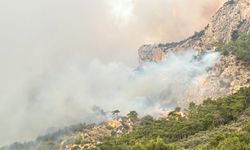 Muğla'da sabah saatlerinde iki bölgede daha yangın çıktı!