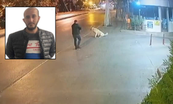 Silahla köpeği hedef alan şüphelinin dokuz ayrı suçtan kaydı çıktı