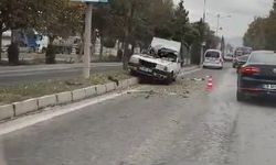 Elazığ’da kontrolden çıkan otomobil ağaçlara çarptı: 1 yaralı