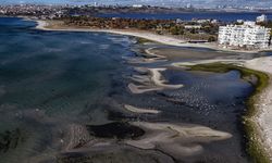 İstanbul'da deniz ilk kez bu kadar çekildi: Balıkçılar denize açılamadı