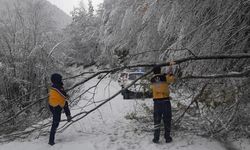 Kastamonu'da kar yağışı ve ağaçlar sebebiyle ulaşım durdu