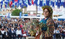 Milas Zeytin Hasat Şenliği için geri sayım başladı