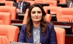 CHP'li Sevda Erdan Kılıç: "Alkol politikaları yeniden gözden geçirilmeli"