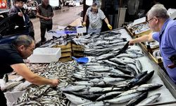 Fırtına sonrası balıkçı tezgahlarında çinekop ucuzladı