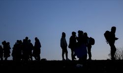 Çanakkale'nin Ayvacık ilçesinde 32 kaçak göçmen yakalandı