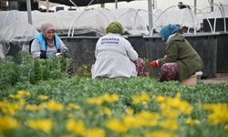 Manisa’da su dostu peyzajla yeşil gelecek