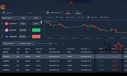 Crossmarket FX ve GDK Grup'un dolandırıcılık sarmalına soruşturma