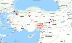 Türkiye'de son 24 saatte kaç deprem oldu? | 1 Aralık 2024